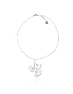 Ginkgo Collier Co...